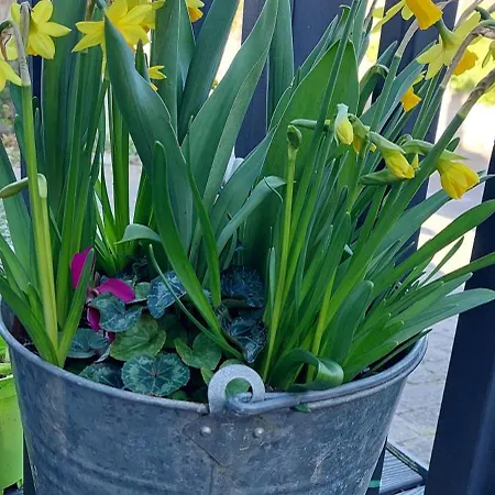 Baxters Bonnie Garden Apartment *